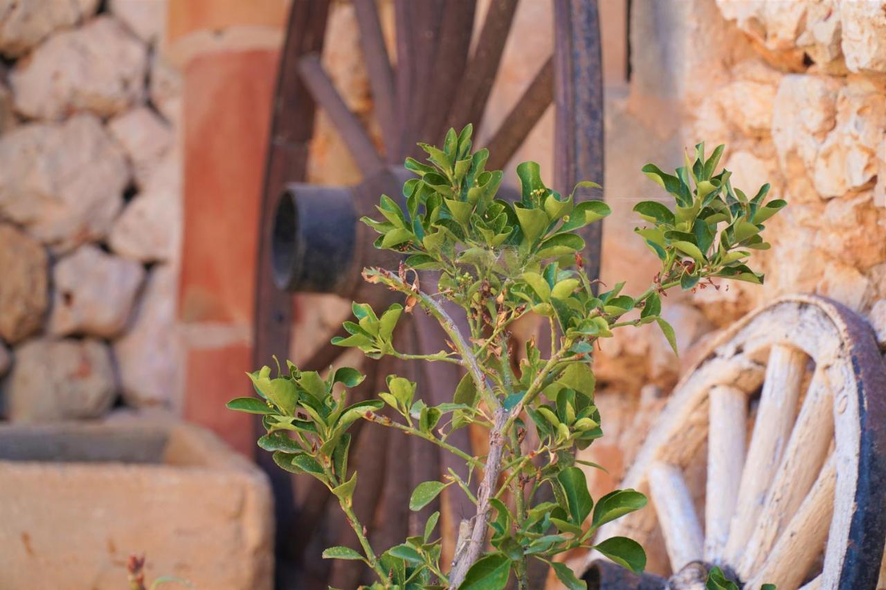 Agroturismo Finca Sa Tanca Cala D´Or Kültér fotó