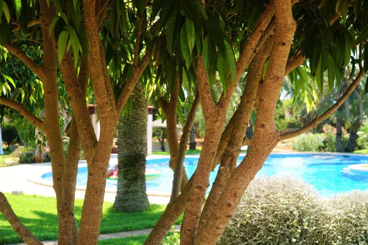 Agroturismo Finca Sa Tanca Cala D´Or Kültér fotó