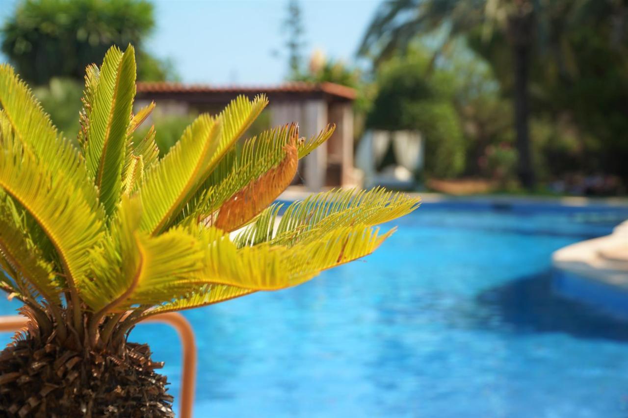 Agroturismo Finca Sa Tanca Cala D´Or Kültér fotó