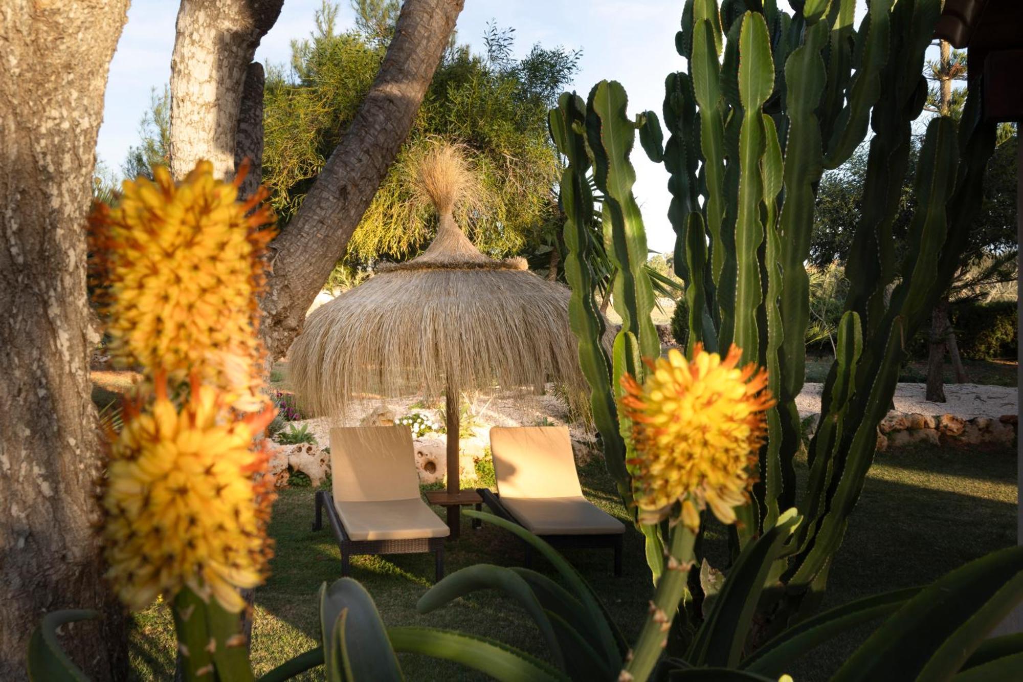 Agroturismo Finca Sa Tanca Cala D´Or Kültér fotó