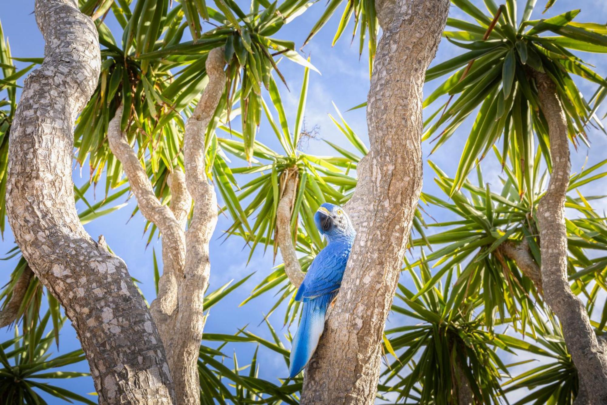 Agroturismo Finca Sa Tanca Cala D´Or Kültér fotó